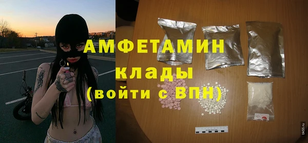 ПСИЛОЦИБИНОВЫЕ ГРИБЫ Новозыбков