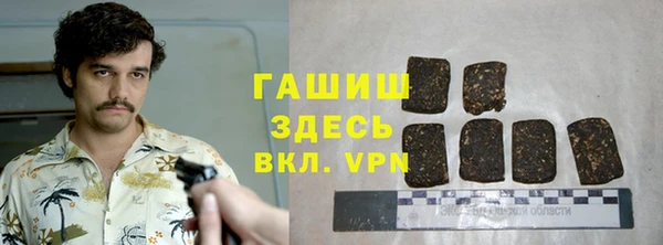 ПСИЛОЦИБИНОВЫЕ ГРИБЫ Новозыбков