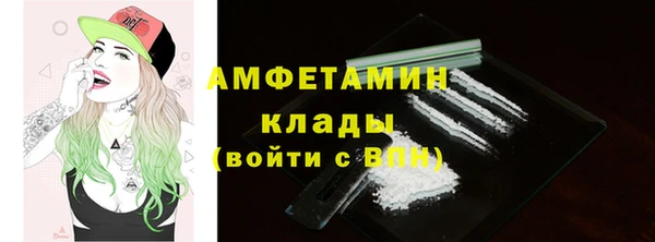 ПСИЛОЦИБИНОВЫЕ ГРИБЫ Новозыбков