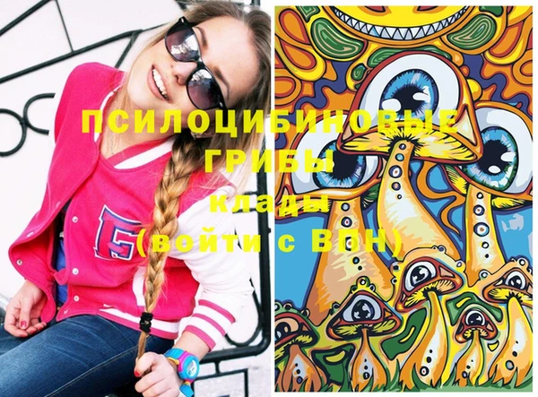 дмт Новодвинск