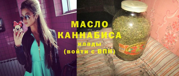 дмт Новодвинск