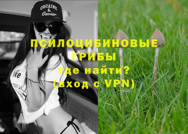 дмт Новодвинск