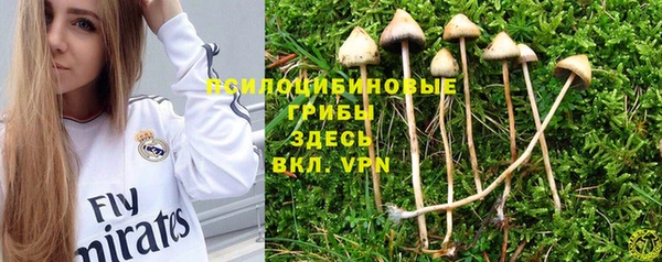 прущая мука Новокубанск