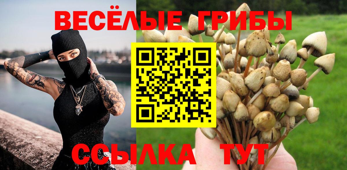 Псилоцибиновые грибы GOLDEN TEACHER Мытищи