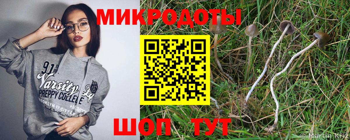 Псилоцибиновые грибы GOLDEN TEACHER  дарнет шоп  Мытищи 