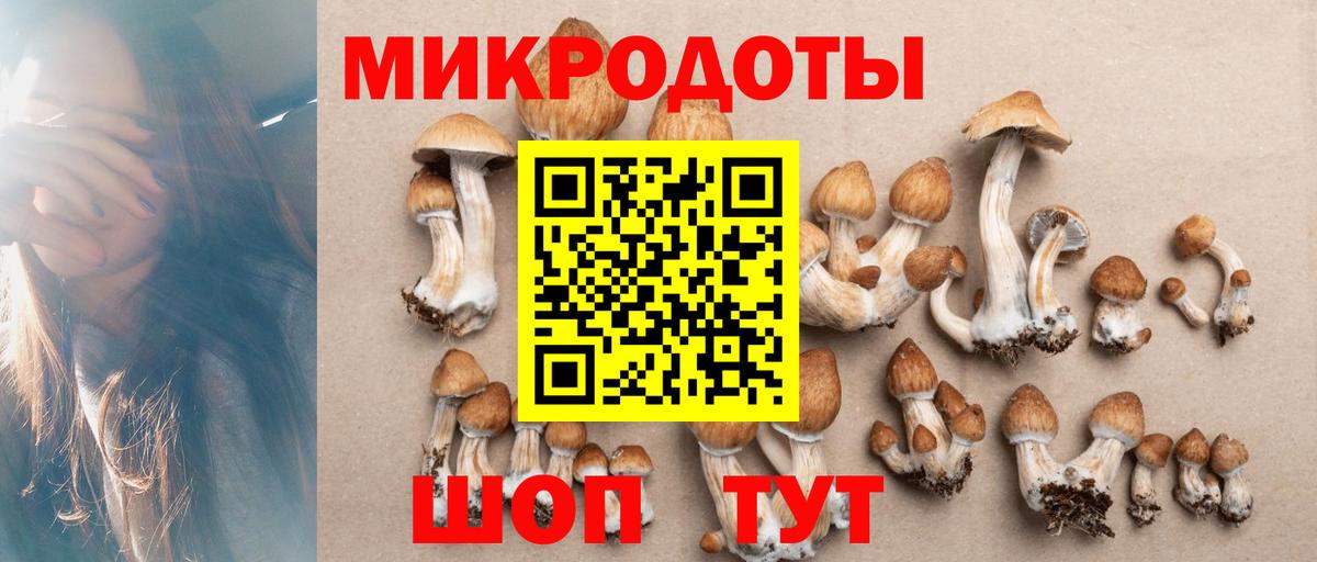 Галлюциногенные грибы Psilocybe  Вход с VPN  Мытищи 